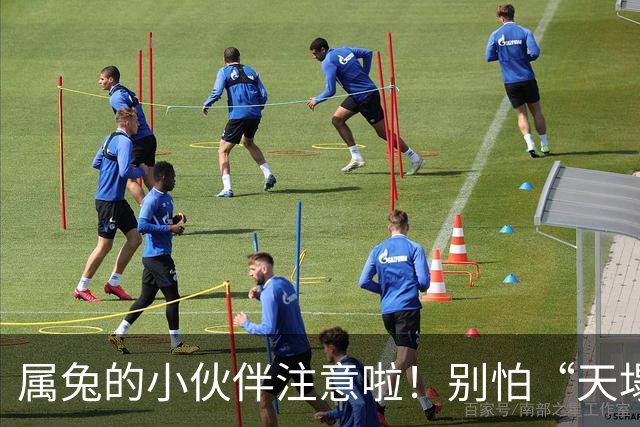 属兔的小伙伴注意啦！别怕“天塌之日”来临