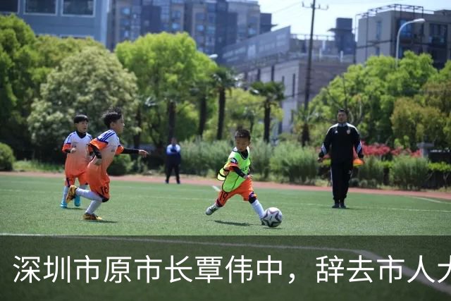 深圳市原市长覃伟中，辞去市人大代表职务；8月辞去市长职务，履新广东省人大常委会党组成员