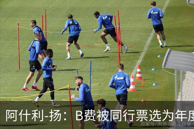 阿什利-扬：B费被同行票选为年度最佳是有原因的，他太惊艳了